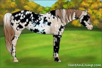Horse Color:White Spotted Smoky Blue Roan Pearl Splash Blanket Rabicano 
