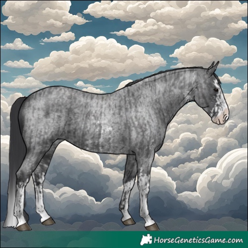 Horse Color:Blue Roan Sabino Splash and Blue Roan Sabino Splash