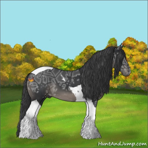 Horse Color:Black Ice Tobiano 