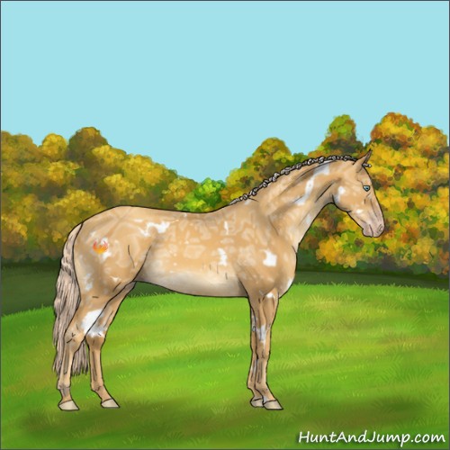 Horse Color:White Spotted Gold Cream Champagne Ice Roan 