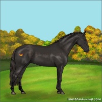 Horse Color:Void Liver Chestnut Tobiano 