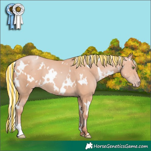 Horse Color:Painted White Spotted Silver Classic Champagne 