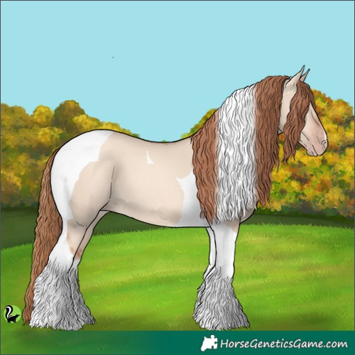Horse Color:Gold Champagne Dun Tobiano 