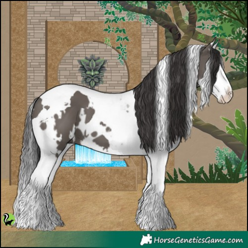 Horse Color:White Spotted Smoky Grullo Splash Tobiano 