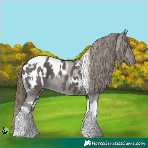 Horse Color:White Spotted Smoky Grullo Tobiano Appaloosa 