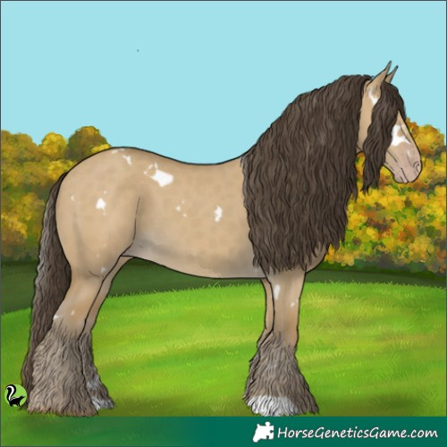 Horse Color:White Spotted Classic Cream Champagne Dun 