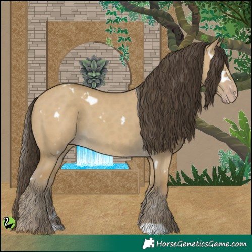 Horse Color:White Spotted Classic Cream Champagne Dun 