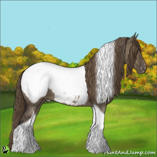 Horse Color:Smoky Grullo Roan Tobiano Appaloosa 