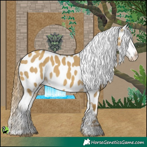 Horse Color:Classic Cream Champagne Dun Appaloosa 