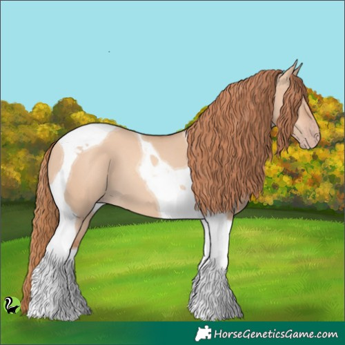 Horse Color:Gold Champagne Dun Tobiano 