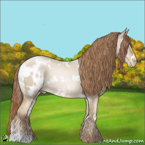 Horse Color:White Spotted Smoky Grullo Pearl 