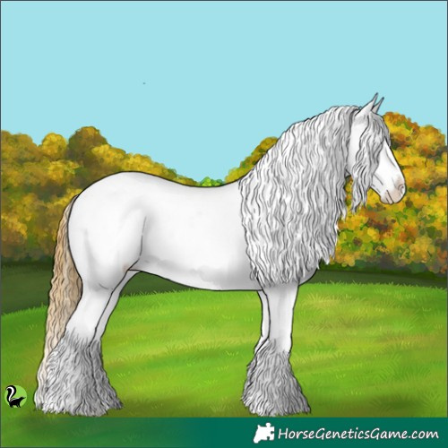 Horse Color:Sable Cream Champagne Dun Appaloosa 