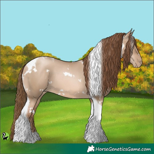 Horse Color:White Spotted Liver Red Dun Pearl Tobiano 