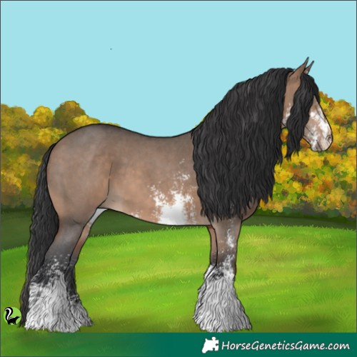 Horse Color:Brown Dun Sabino 