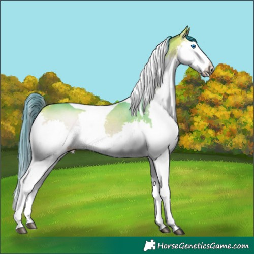 Horse Color:Watercolor Bay Onyx Splash Tobiano 