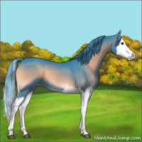 Horse Color:Watercolor Blue Onyx Splash