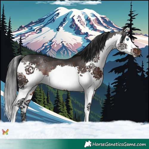 Horse Color:Brown Splash 