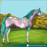 Horse Color:Watercolor Brown Onyx Splash Tobiano 