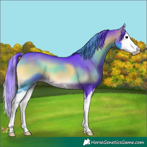 Horse Color:Watercolor Brown Onyx Splash