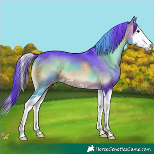 Horse Color:Watercolor Brown Onyx Splash