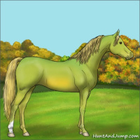 Horse Color:Watercolor Chestnut 