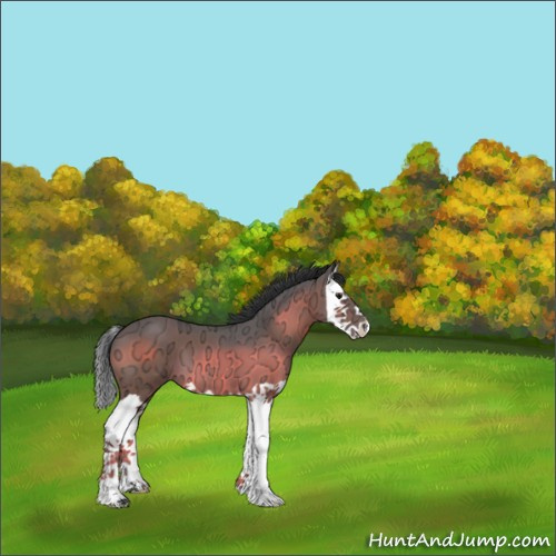 Horse Color:Brown Ice Splash