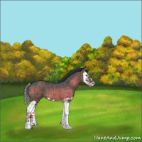 Horse Color:Brown Ice Splash 