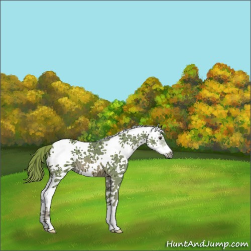 Horse Color:Watercolor White Spotted Chestnut Ice Splash Frame 