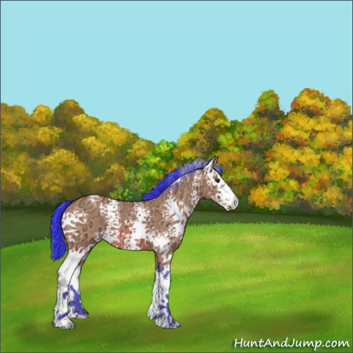 Horse Color:Watercolor White Spotted Brown Ice 