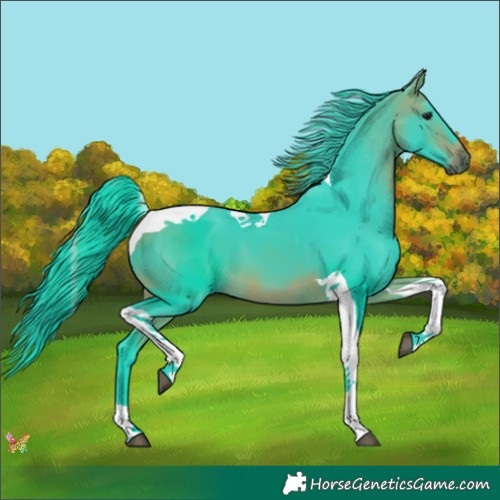 Horse Color:Watercolor Bay Tobiano 