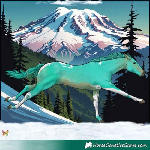 Horse Color:Watercolor Bay Tobiano 