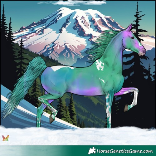 Horse Color:Watercolor Buckskin Splash Tobiano 