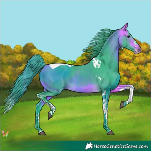 Horse Color:Watercolor Buckskin Splash Tobiano 