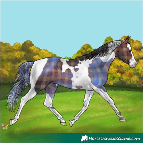 Horse Color:Plaid Bay Splash Tobiano
