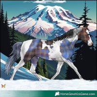 Horse Color:Plaid Bay Splash Tobiano