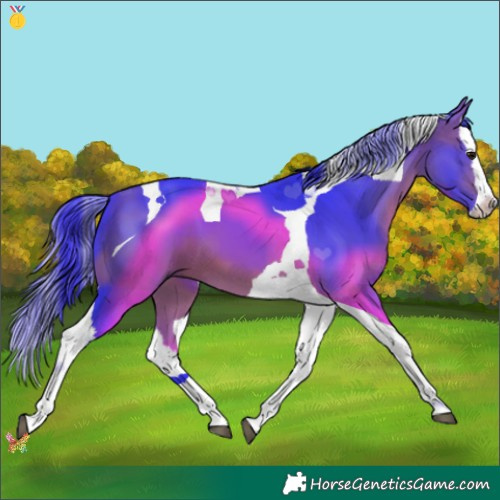 Horse Color:Watercolor Bay Splash Tobiano 