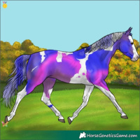Horse Color:Watercolor Bay Splash Tobiano 