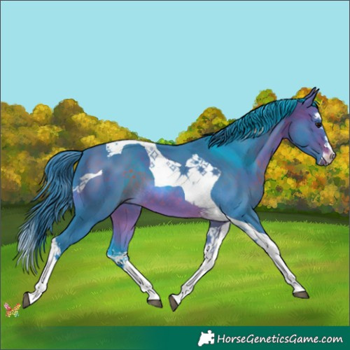 Horse Color:Watercolor Brown Splash Tobiano 