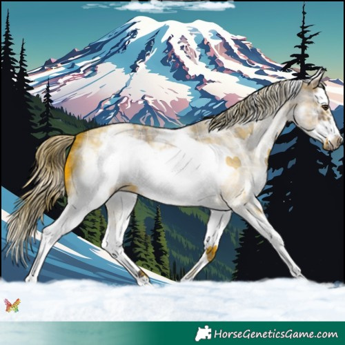 Horse Color:Plaid  White Spotted Liver Red Dun Roan Splash Frame 