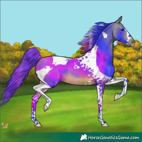 Horse Color:Watercolor Bay Splash Tobiano 
