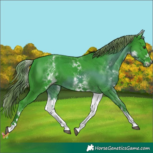 Horse Color:Watercolor White Spotted Liver Chestnut 
