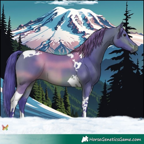 Horse Color:Watercolor Brown Tobiano 