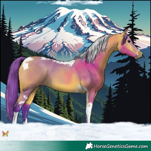 Horse Color:Watercolor Buckskin Tobiano 