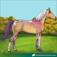 Horse Color:Watercolor Buckskin Tobiano 