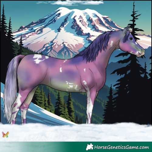 Horse Color:Watercolor Brown Splash Tobiano 