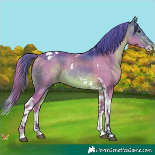 Horse Color:Watercolor Brown Splash Tobiano 
