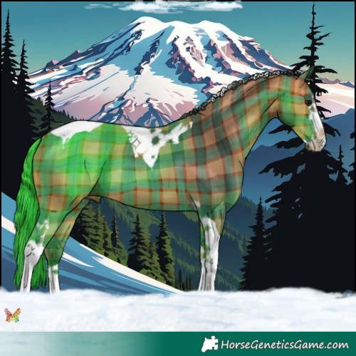 Horse Color:Plaid  Bay Splash Tobiano 