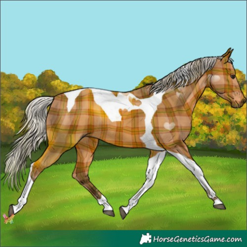 Horse Color:Plaid  Silver Brown Tobiano 