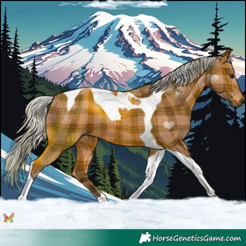 Horse Color:Plaid Silver Brown Tobiano
