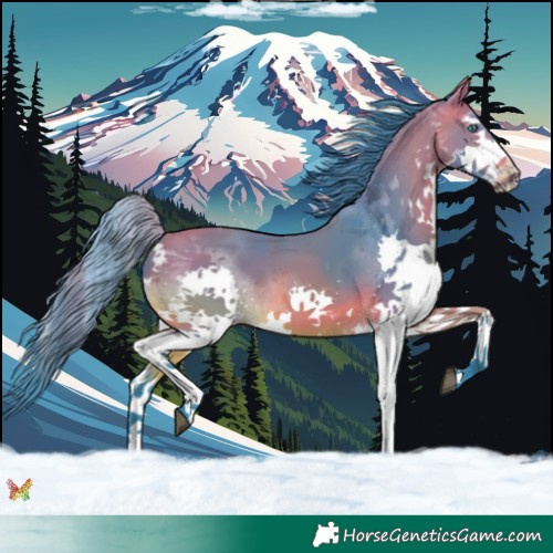 Horse Color:Watercolor Bay Splash Tobiano 